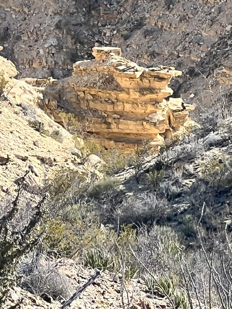 26946 Creekview, Terlingua, Texas image 13