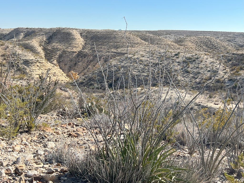 26946 Creekview, Terlingua, Texas image 11