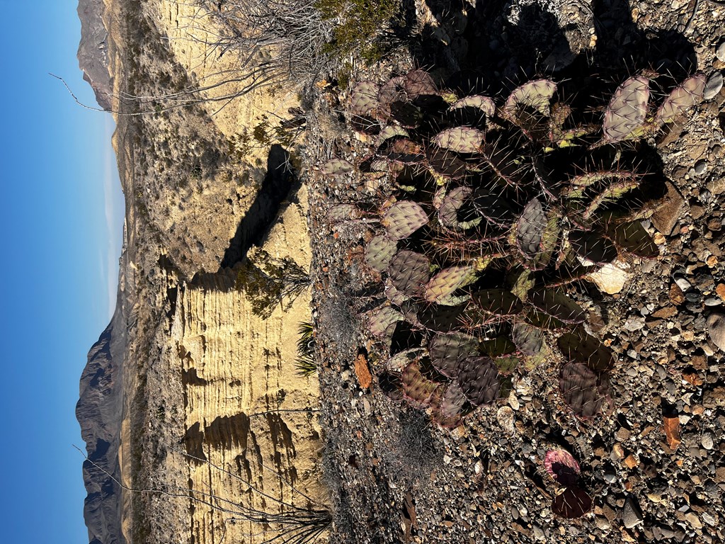 26946 Creekview, Terlingua, Texas image 23