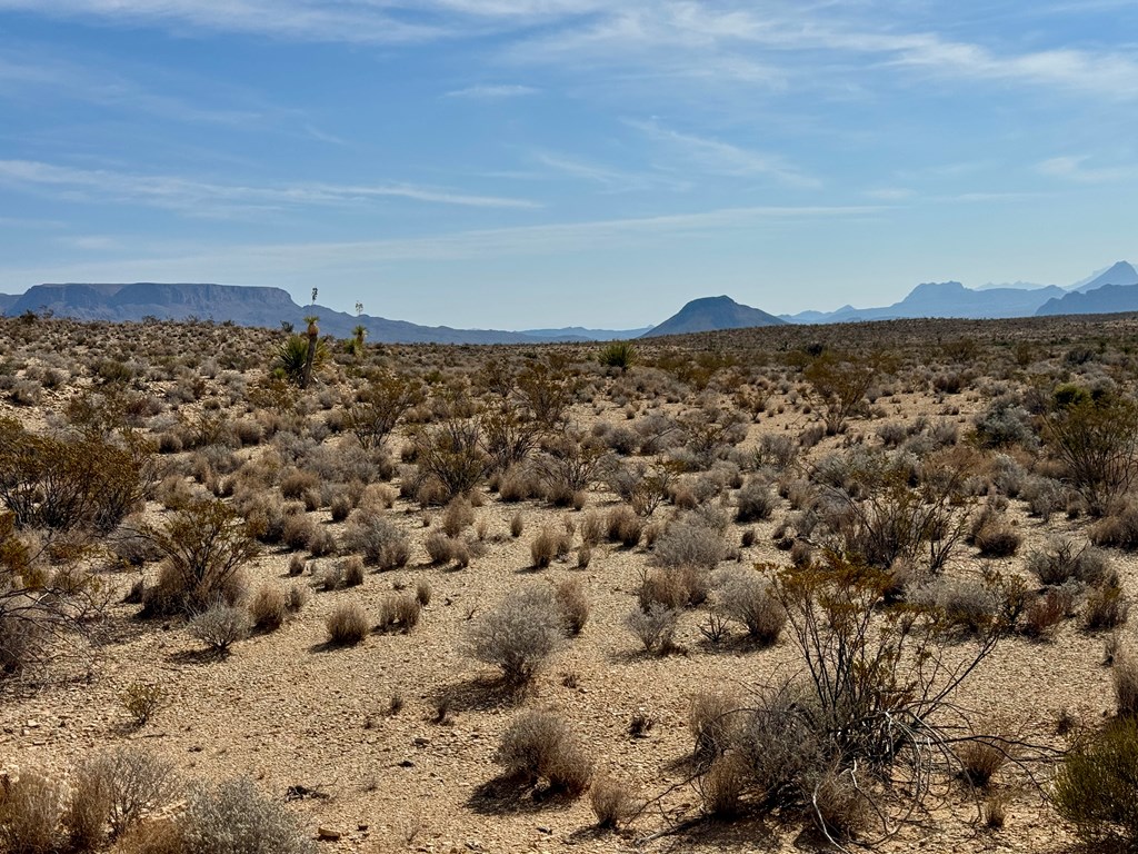 TR 4832 Stringfellow Rd, Terlingua, Texas image 5