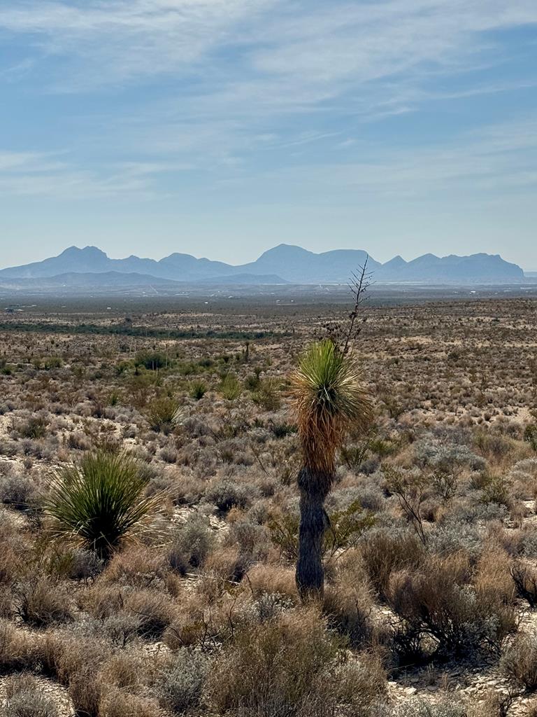 TR 4832 Stringfellow Rd, Terlingua, Texas image 1