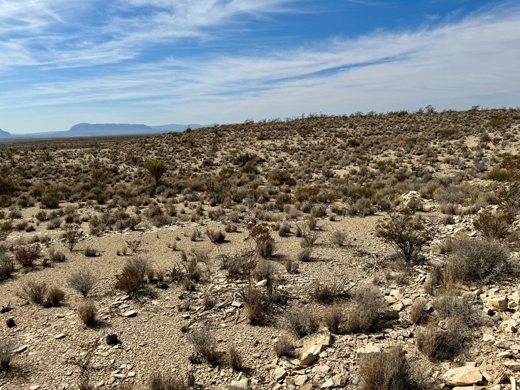 TR 4832 Stringfellow Rd, Terlingua, Texas image 8