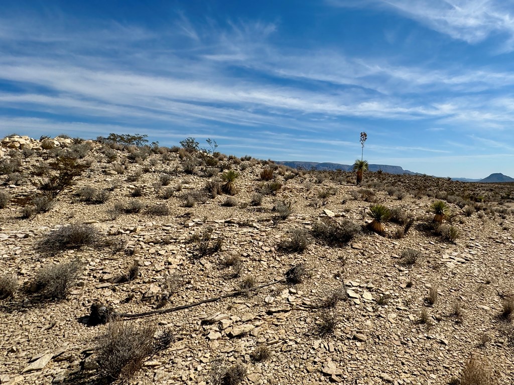 TR 4832 Stringfellow Rd, Terlingua, Texas image 7