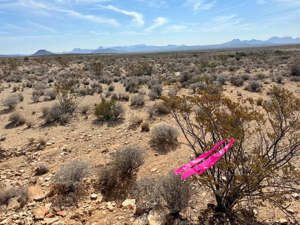 TR 4832 Stringfellow Rd, Terlingua, Texas image 10