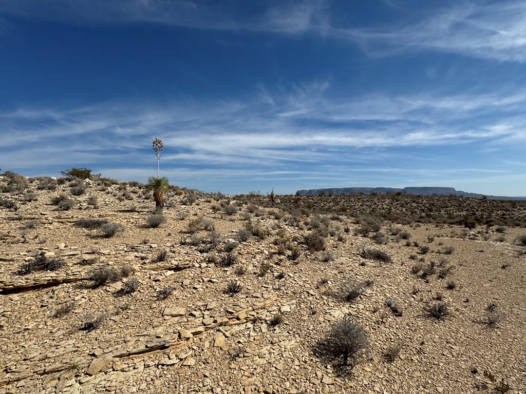 TR 4832 Stringfellow Rd, Terlingua, Texas image 11