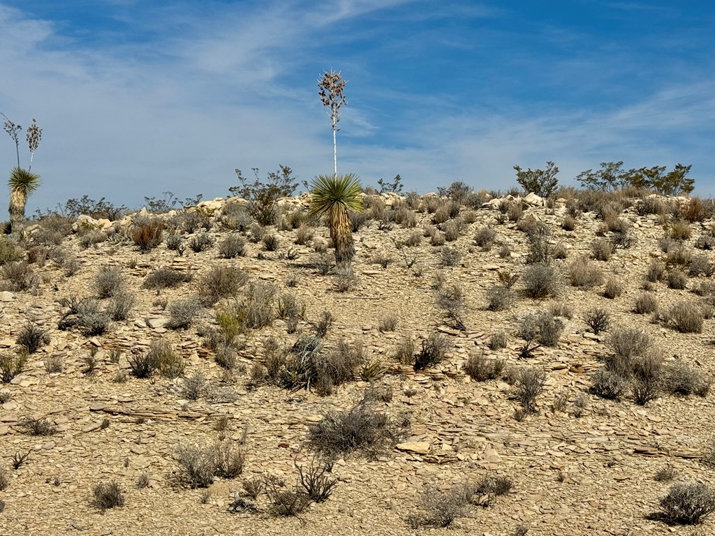 TR 4832 Stringfellow Rd, Terlingua, Texas image 2