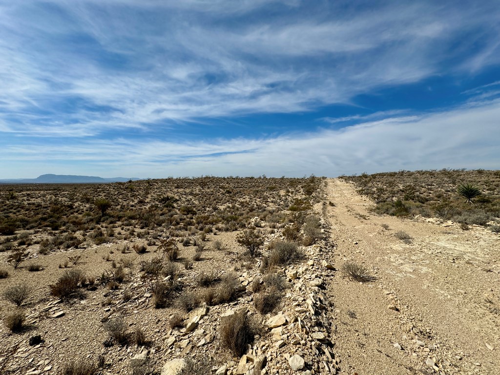 TR 4832 Stringfellow Rd, Terlingua, Texas image 9