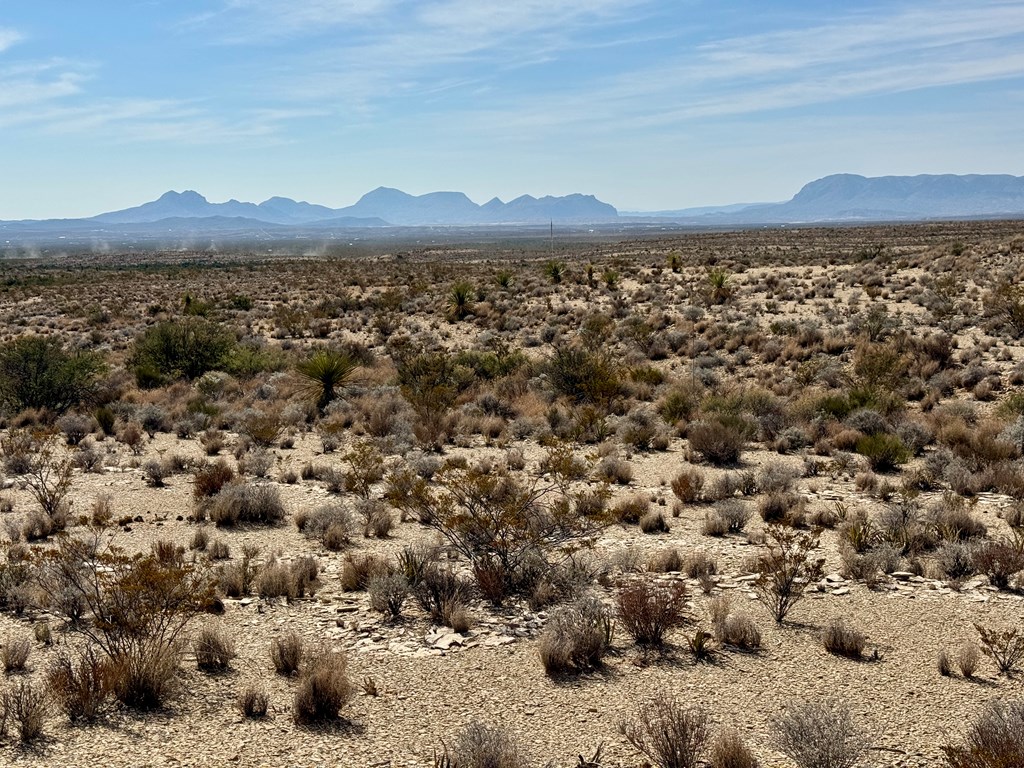 TR 4832 Stringfellow Rd, Terlingua, Texas image 3