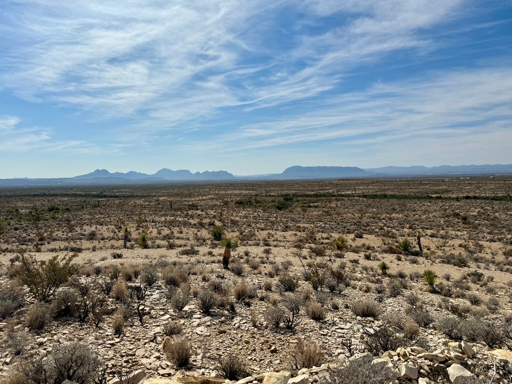 TR 4832 Stringfellow Rd, Terlingua, Texas image 4