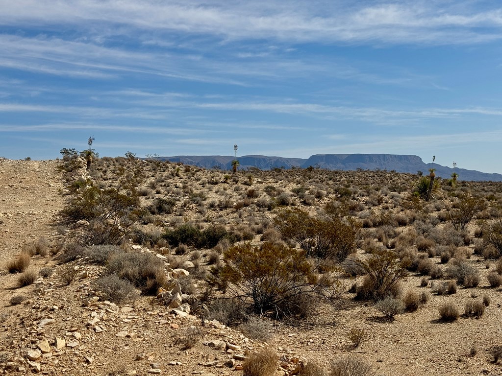 TR 4832 Stringfellow Rd, Terlingua, Texas image 6