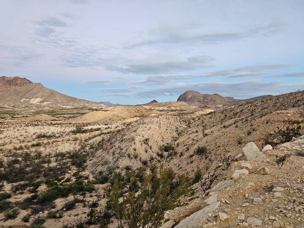 112 Victoria Dr, Terlingua, Texas image 30