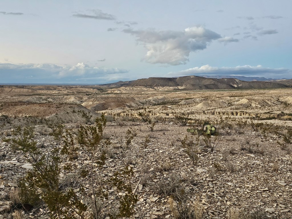 112 Victoria Dr, Terlingua, Texas image 35