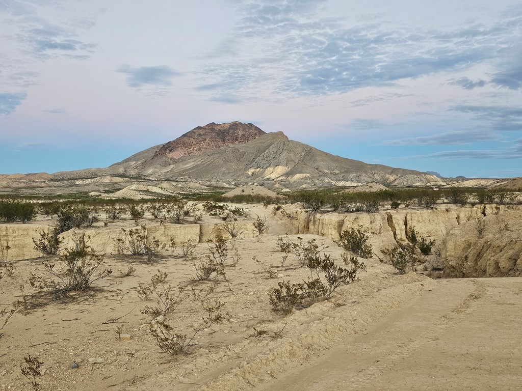 112 Victoria Dr, Terlingua, Texas image 8