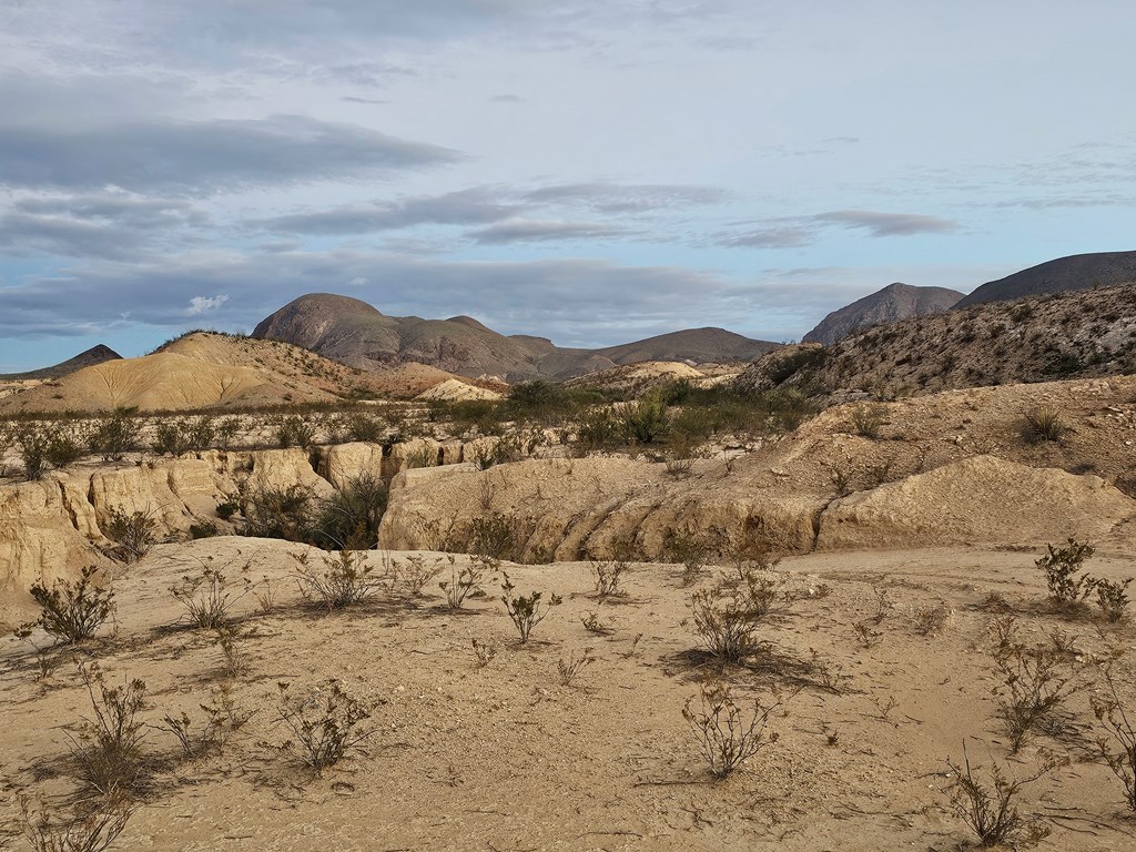 112 Victoria Dr, Terlingua, Texas image 22