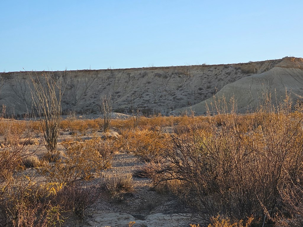 2071 Grass Draw Rd, Terlingua, Texas image 13