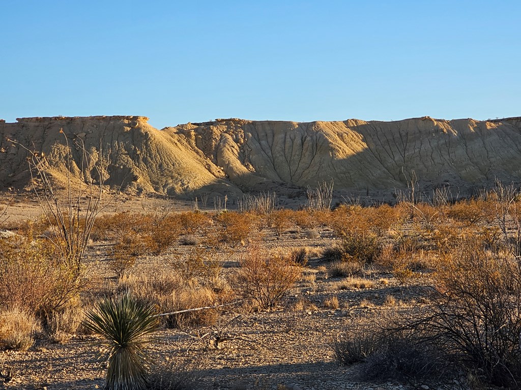 2071 Grass Draw Rd, Terlingua, Texas image 11