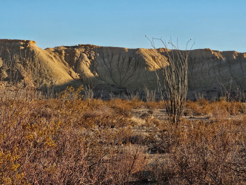 2071 Grass Draw Rd, Terlingua, Texas image 4