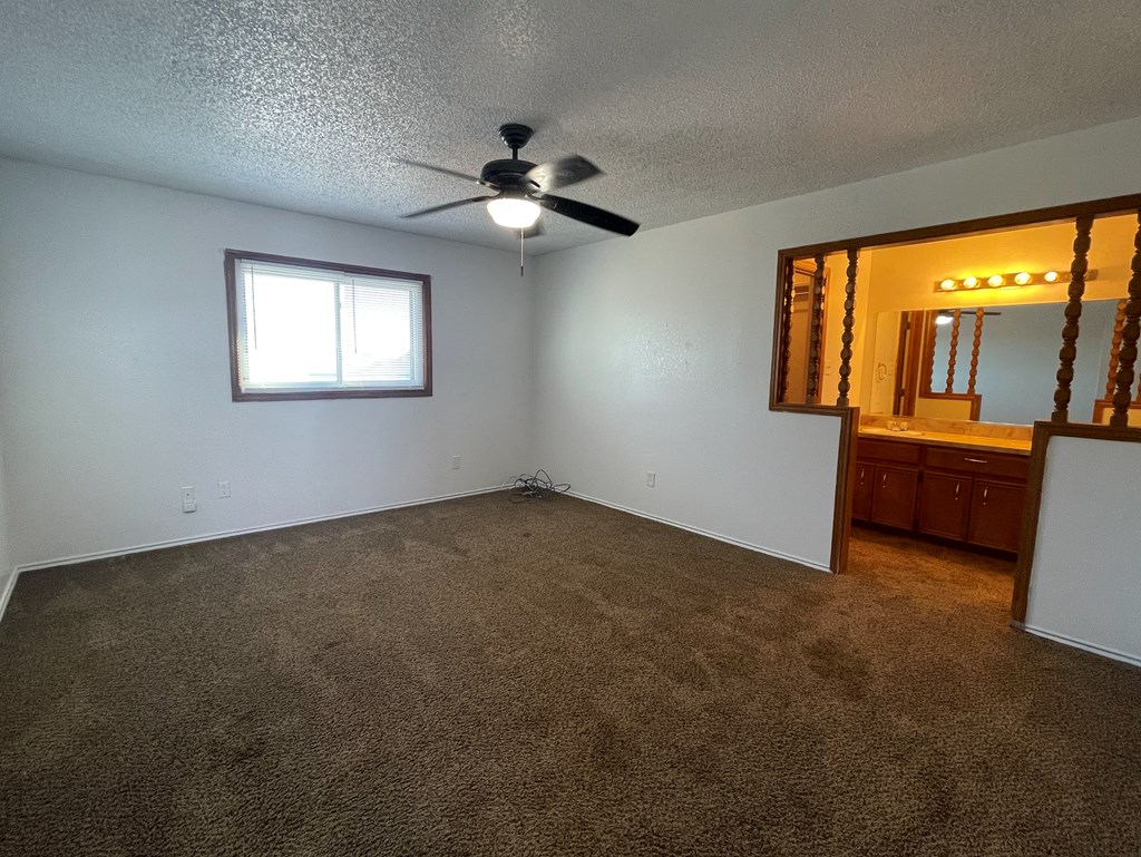 4807 S Veronica St, Monahans, Texas image 5