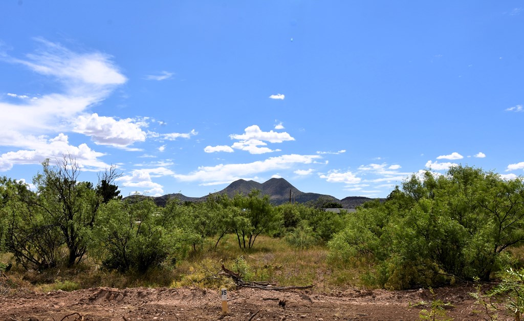 411 Sagebrush Road #74, Alpine, Texas image 3