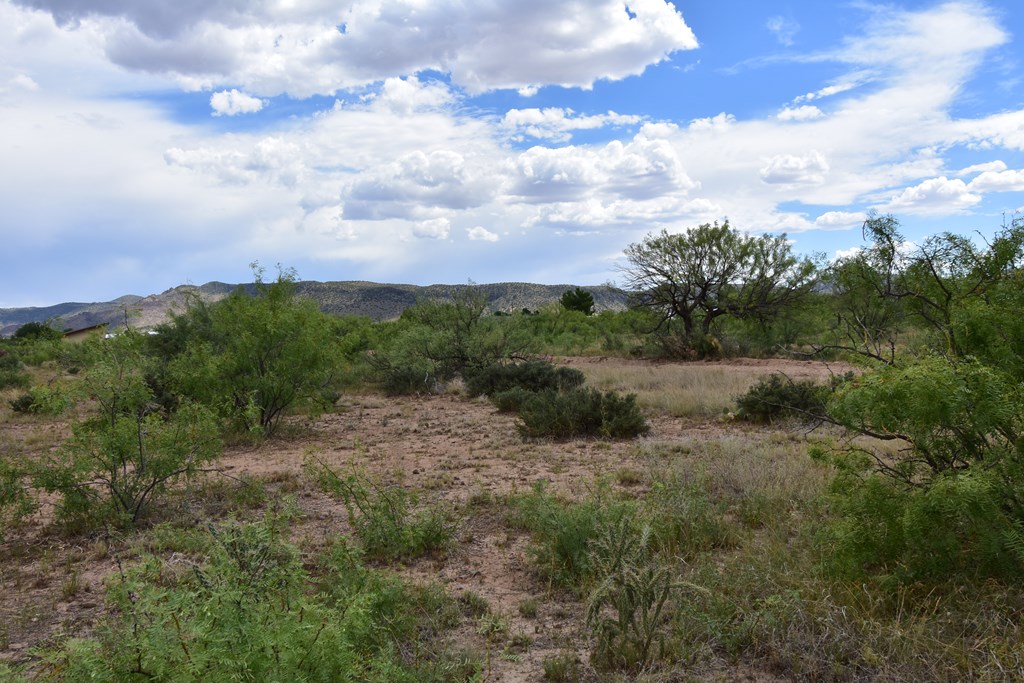 411 Sagebrush Road #74, Alpine, Texas image 4