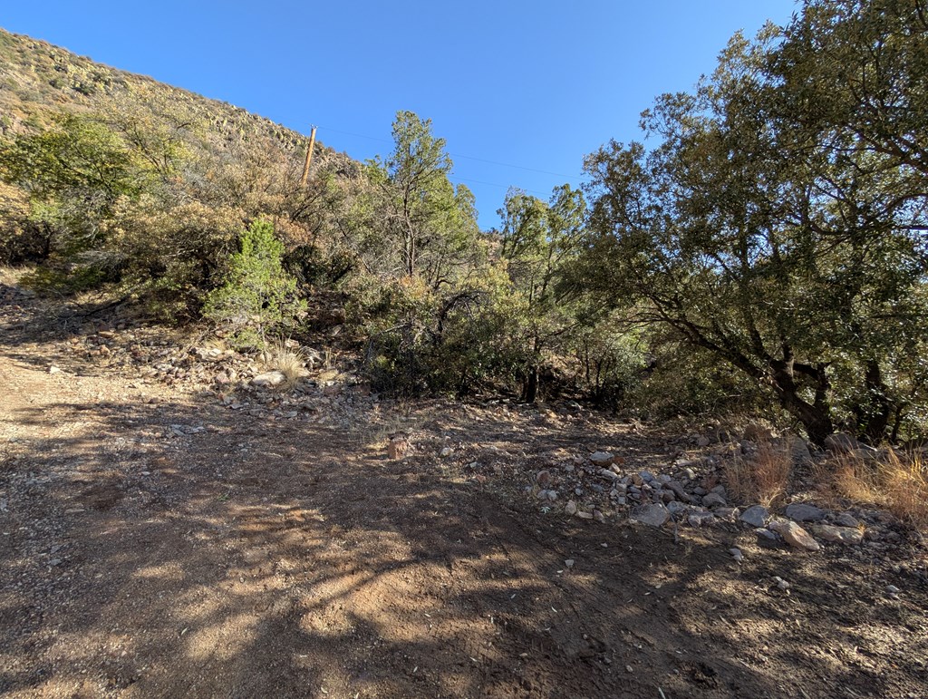 400 Colleen Canyon Trail, Fort Davis, Texas image 19