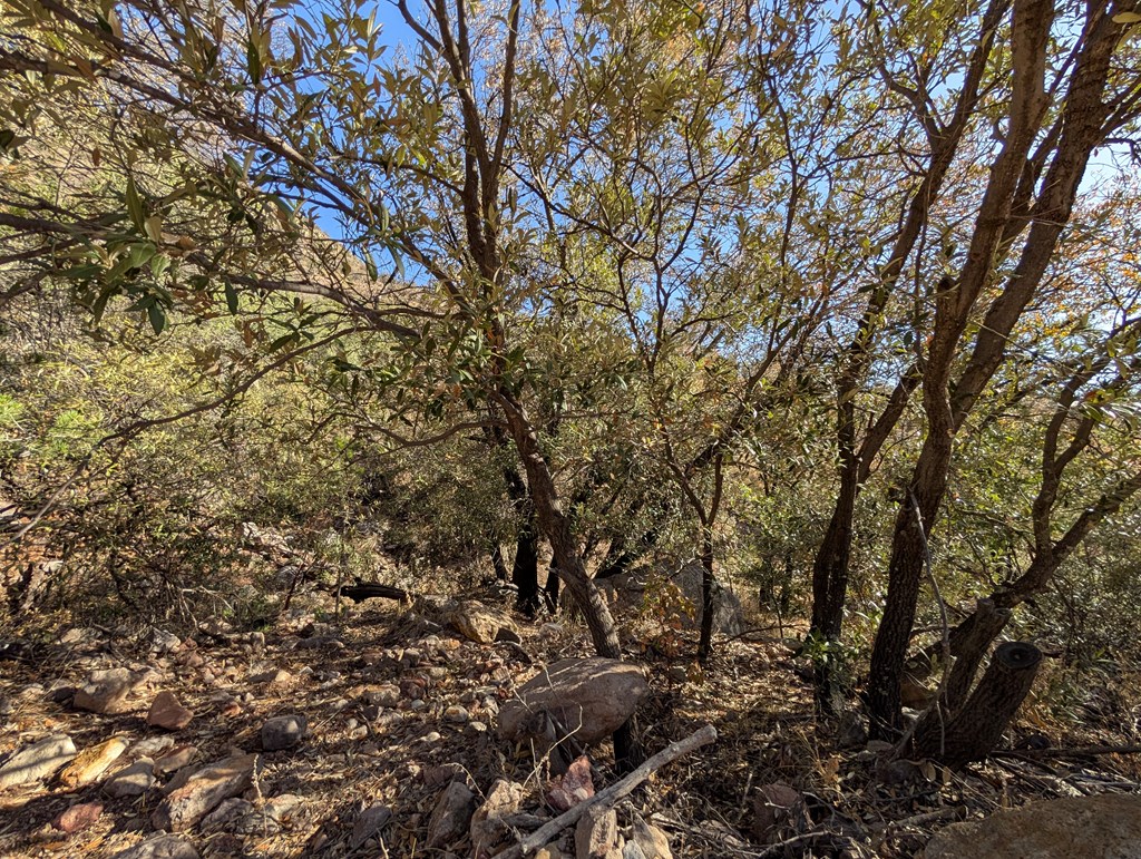 400 Colleen Canyon Trail, Fort Davis, Texas image 22