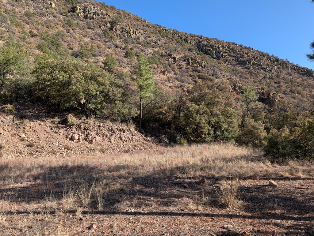 400 Colleen Canyon Trail, Fort Davis, Texas image 5