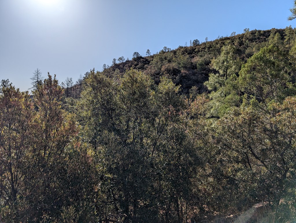 400 Colleen Canyon Trail, Fort Davis, Texas image 7