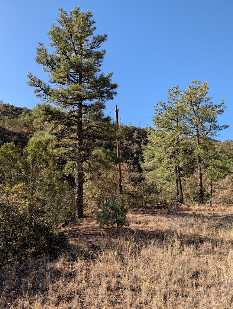 400 Colleen Canyon Trail, Fort Davis, Texas image 8
