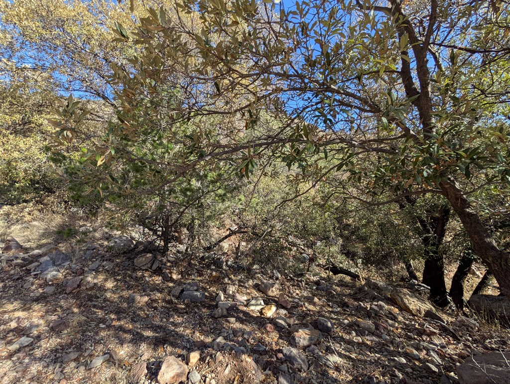 400 Colleen Canyon Trail, Fort Davis, Texas image 21