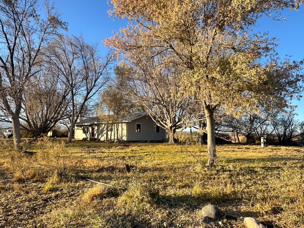 89 Alamito Creek Rd, Marfa, Texas image 6