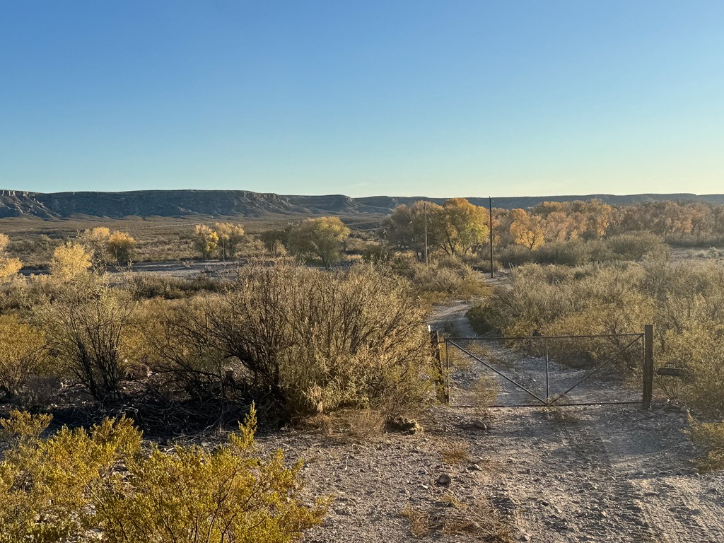 89 Alamito Creek Rd, Marfa, Texas image 4