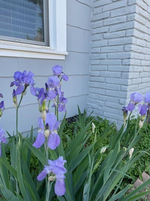 1007 N 5th St, Alpine, Texas image 37