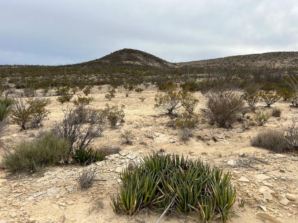 26796 Tanque Tierra, Terlingua, Texas image 1