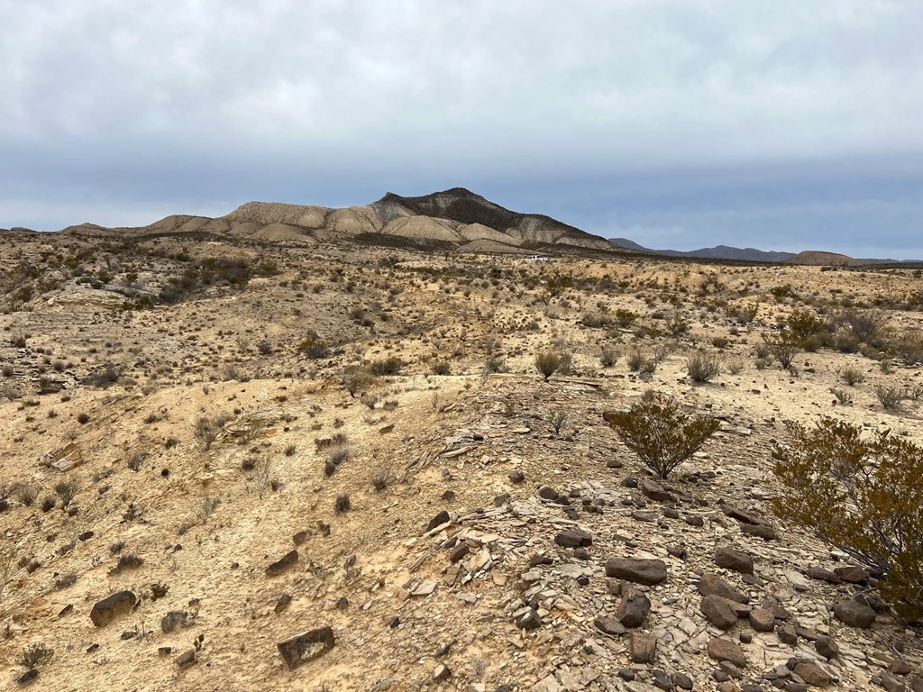 26796 Tanque Tierra, Terlingua, Texas image 5