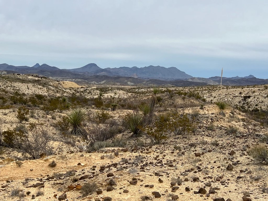 26796 Tanque Tierra, Terlingua, Texas image 2