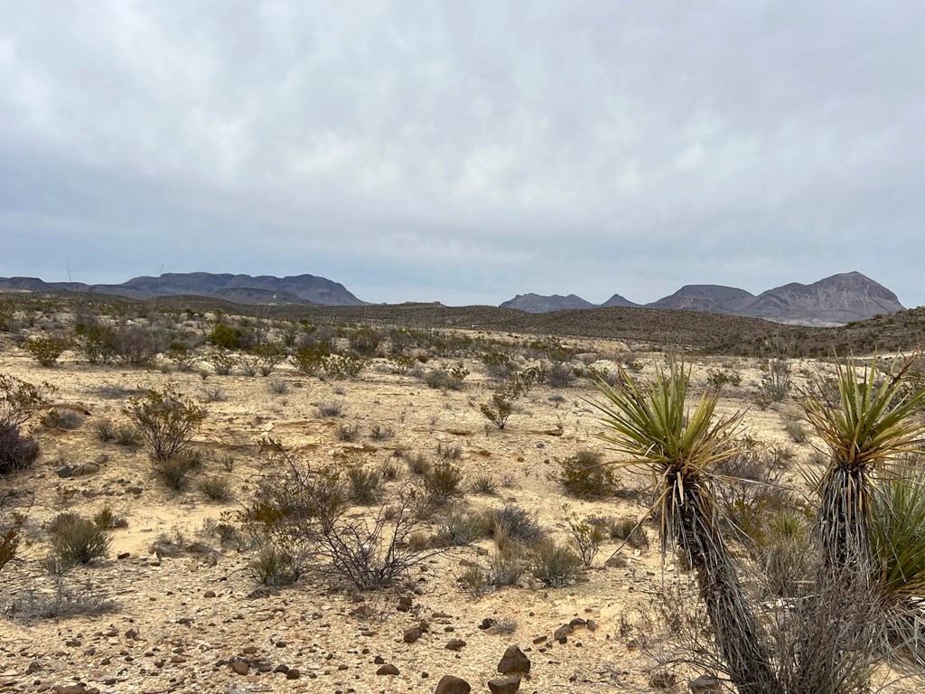 26796 Tanque Tierra, Terlingua, Texas image 8