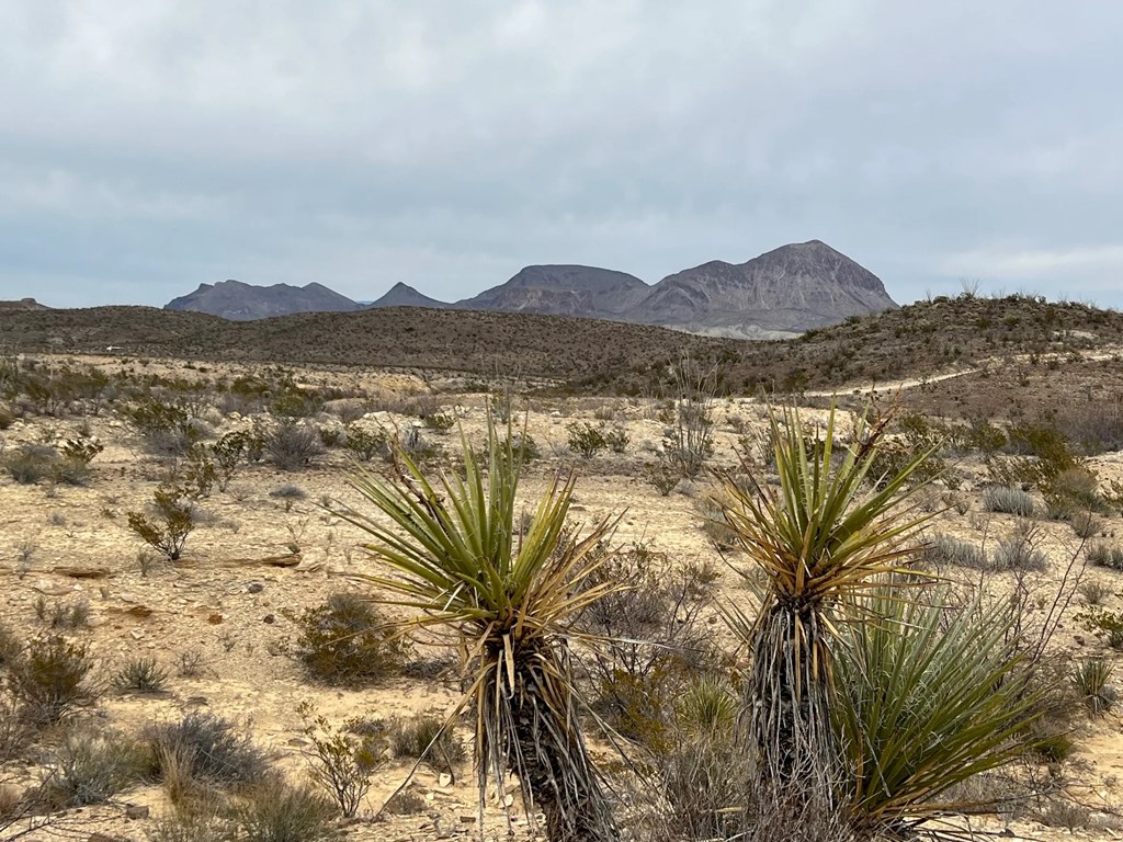 26796 Tanque Tierra, Terlingua, Texas image 4