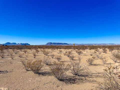 Vacant Land For Sale - 70 Fort Mason Drive<br/> Brewster County, Terlingua, TX 79852