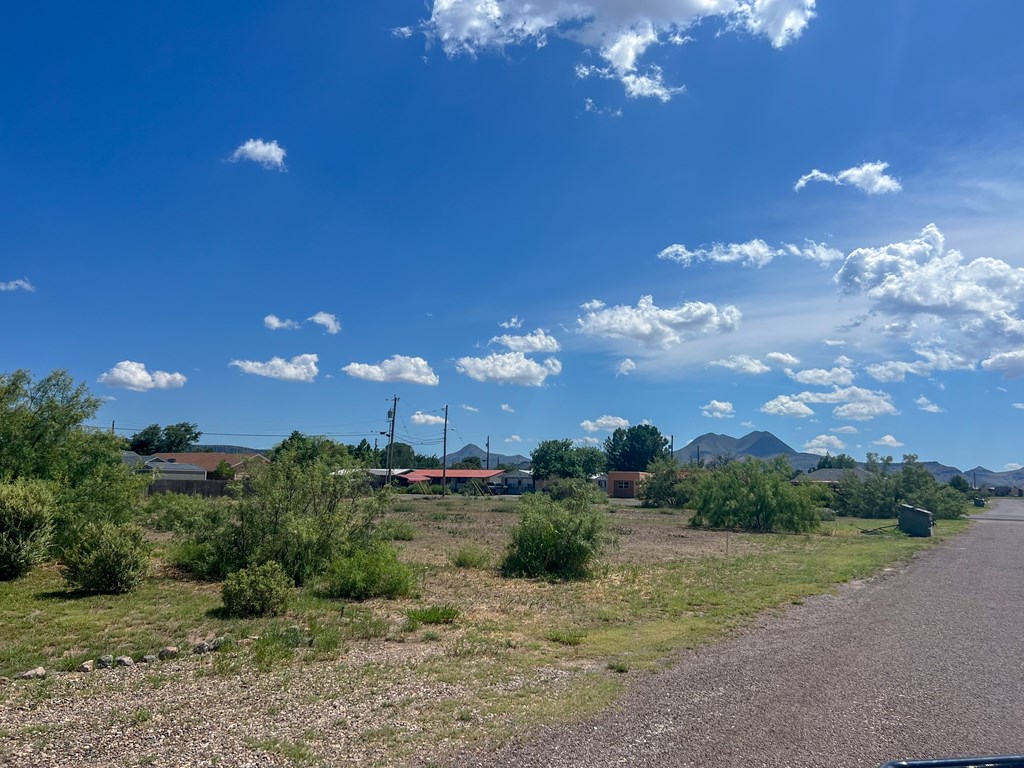 LOT 5 W Eagle Pass, Alpine, Texas image 10