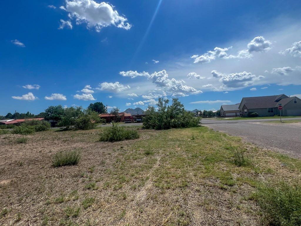 LOT 5 W Eagle Pass, Alpine, Texas image 4