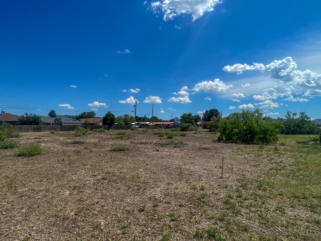 LOT 5 W Eagle Pass, Alpine, Texas image 2