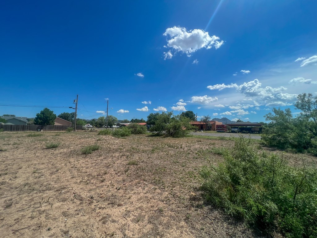 LOT 5 W Eagle Pass, Alpine, Texas image 6