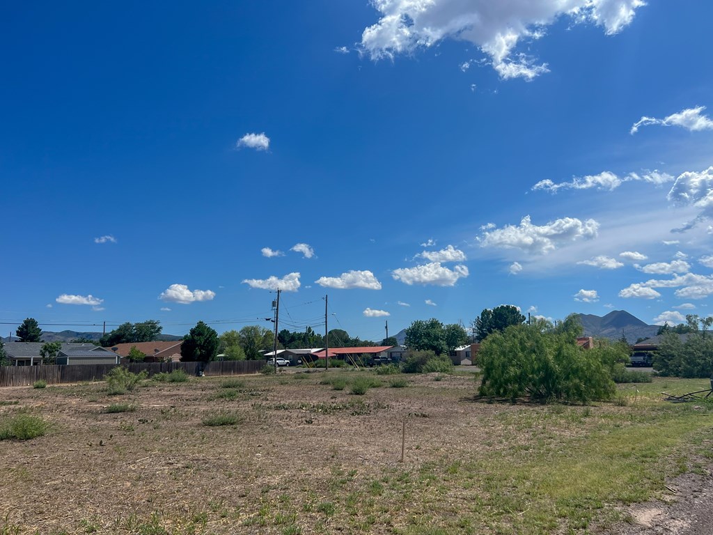 LOT 5 W Eagle Pass, Alpine, Texas image 11