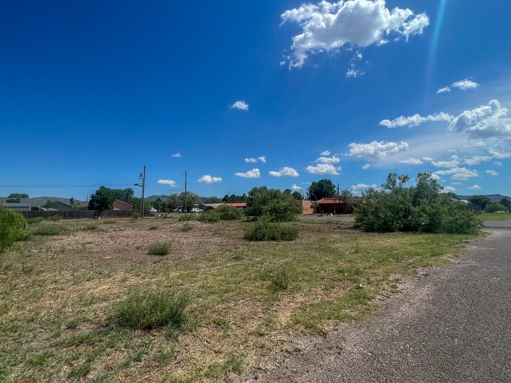 LOT 5 W Eagle Pass, Alpine, Texas image 9