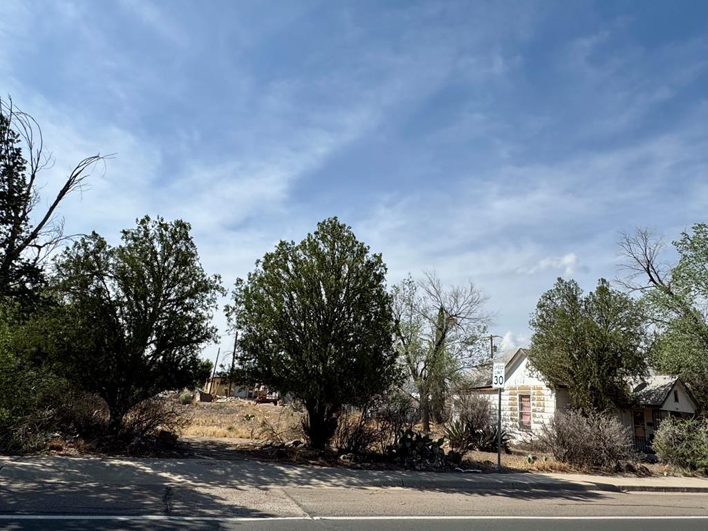 708 W Ave E Ave, Alpine, Texas image 2