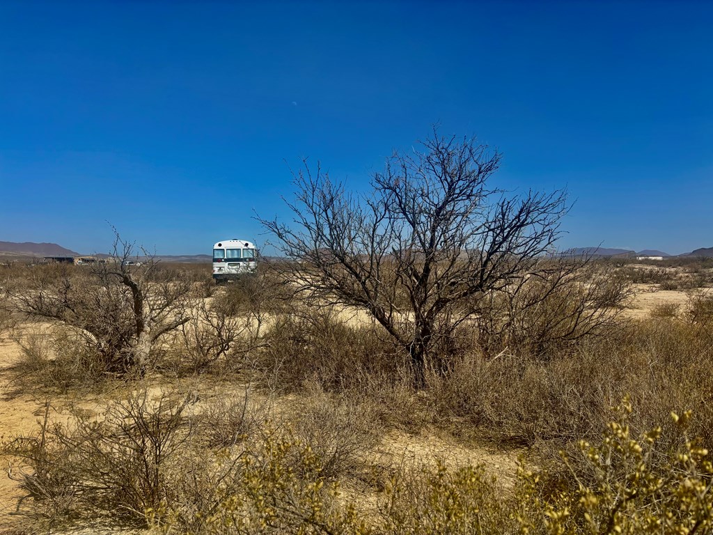 413 Sons Of Liberty Rd, Terlingua, Texas image 15