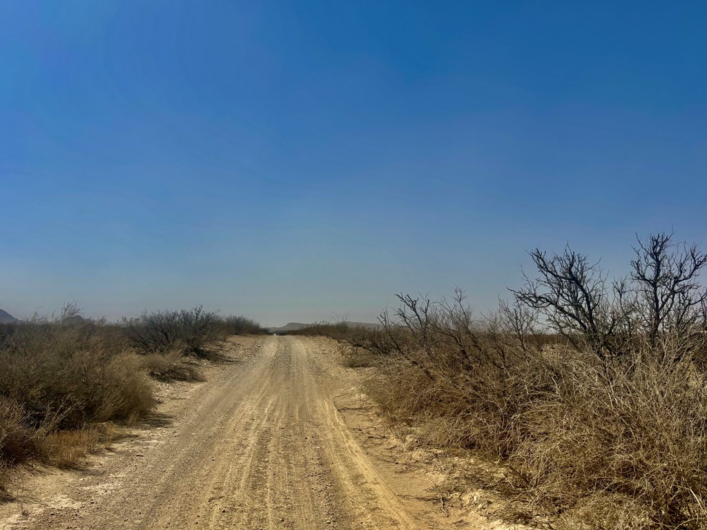 413 Sons Of Liberty Rd, Terlingua, Texas image 19