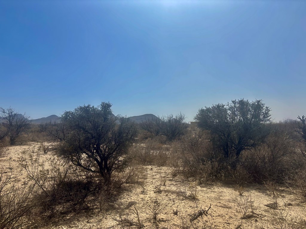 413 Sons Of Liberty Rd, Terlingua, Texas image 14