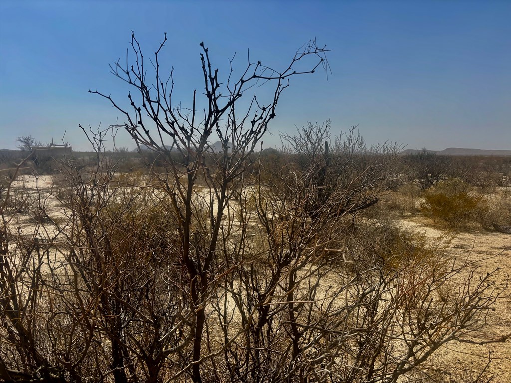 413 Sons Of Liberty Rd, Terlingua, Texas image 13